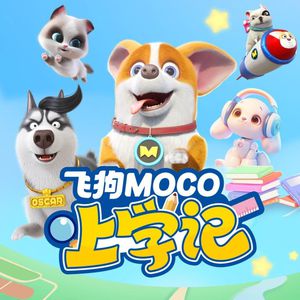 捷克街头钞能力在线视频
