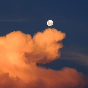 捷克街头钞能力在线视频
