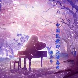 捷克街头钞能力在线视频
