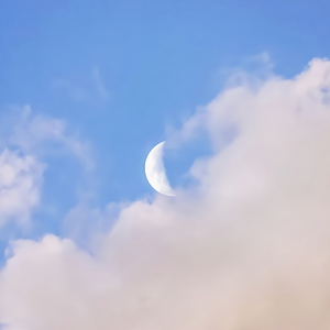 捷克街头钞能力在线视频
