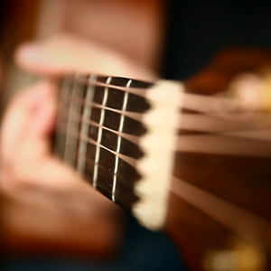 捷克街头钞能力在线视频
