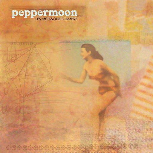 捷克街头钞能力在线视频
