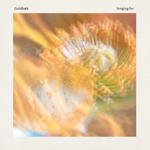 捷克街头钞能力在线视频
